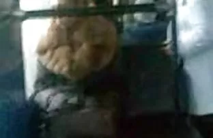 XXX సెక్స్ టెర్మినేటర్ బ్లాండ్ నల్లటి జుట్టు గల స్త్రీని