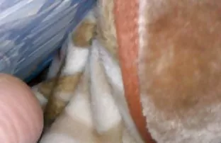 XXX ఎంపిక 3 పోర్న్ వీడియోలు పెద్ద కాక్స్ నల్లజాతీయులు మరియు మాన్స్టర్స్