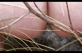 XXX యువ ప్రేమికుడు Fucks a ధాహంగా అమ్మాయి, మరియు భర్త గడియారాలు