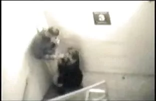 XXX సిలికాన్ మేడం sucks cock యంగ్ పొరుగు