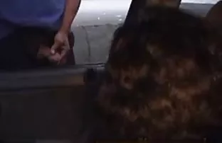 XXX లో Fucked both holes అందమైన నల్లటి జుట్టు గల స్త్రీని ఇచ్చింది. ఆమె నోరు