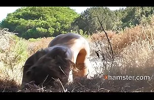 XXX ముందు సెక్స్ కాలం నాకు గుండు పుస్సీ 18 ఏళ్ల బ్యూటీ