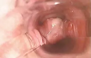 XXX ఇబ్బంది పెట్టాడు రెండు స్లట్స్ పూల్ ద్వారా మరియు సగ్గుబియ్యము వాటిని కంపెనీ